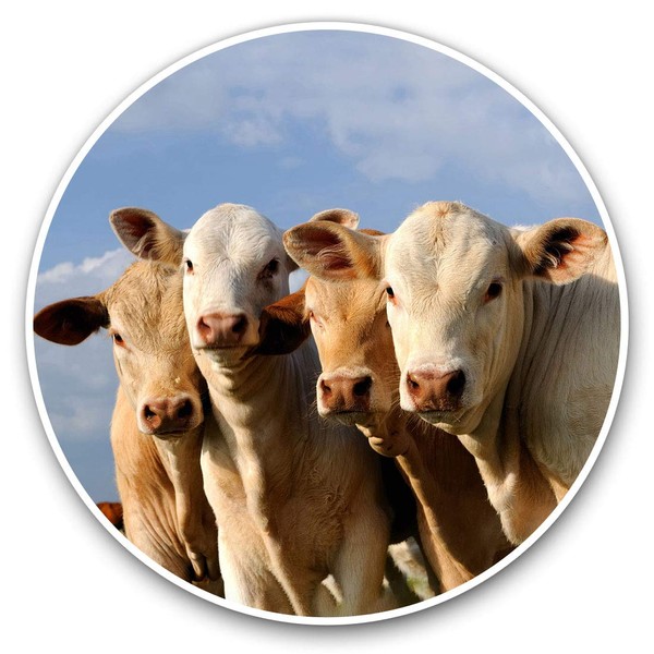 Awesome Vinyl Stickers (Set of 2) 15cm - Cows Farm