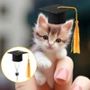 FOIMAS Mini Graduation Caps with Tassel,4pcs Small Animal Bachelor Hats