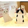Message Cards with Envelopes, Greeting Cards with Cute Cat Stickers