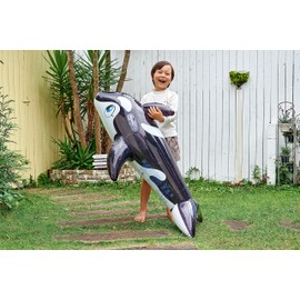 Igarashi FRB-179V Mini Orca Float (Black) 51.2 x 32.7 inches (130 x 83 cm)