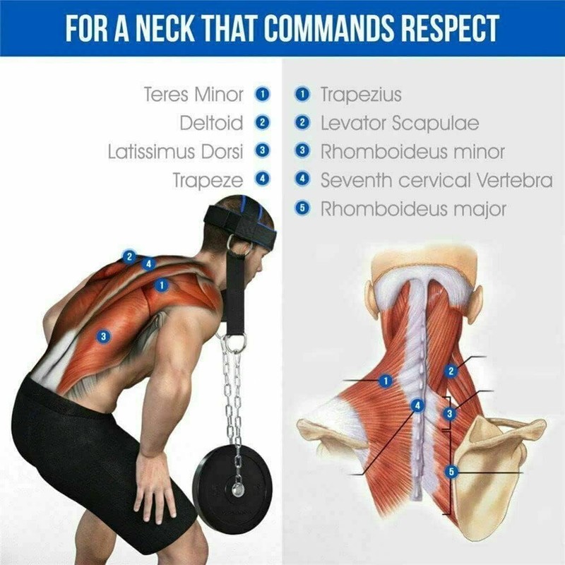Trainer Neck Harness Weight Lifting Training, Head Harness Exerciser, Body