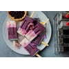 ecozoi Stainless Steel Popsicle Molds and Rack - 10 Square