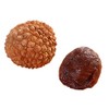 Fujian Specialty Dried Litchi, Plump Fruit, Small Pit 荔枝干 17.6oz