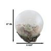 Nautical Marine Sea Shells Glass Globe Ball On Silver Coral