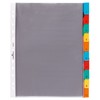 Durable 663219 Punched Pockets Index Set with 10 Divisions -
