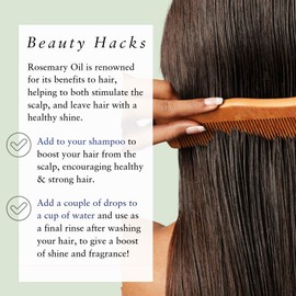 Absolute Aromas Rosemary Essential Oil 30ml - Pure, Natural, Undiluted, Cruelty Free and Vegan