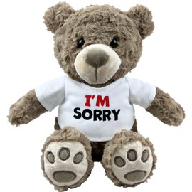 Valentines Day Gifts | I’m Sorry Teddy Bear 10” Sitting | I Love You Im Sorry Plushie | Im Sorry Gifts for Her Stuffed Animal