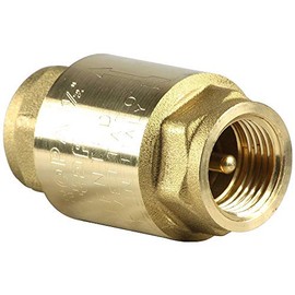 Itap Check Valve with Brass Valve Cone with Rubber Seal PN25.1 Inch Brass
