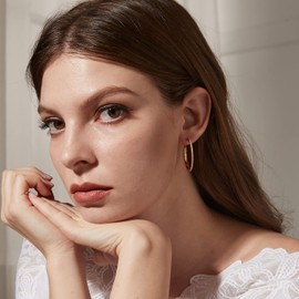 Rose Gold Hoop Earrings Sterling Silver Hoop Earrings for Women Big Hoop Earrings 925 Silver Large Hoop Earrings Diamond Hoop Earrings Cubic Zirconia Hoops Hypoallergenic Earrings Studs