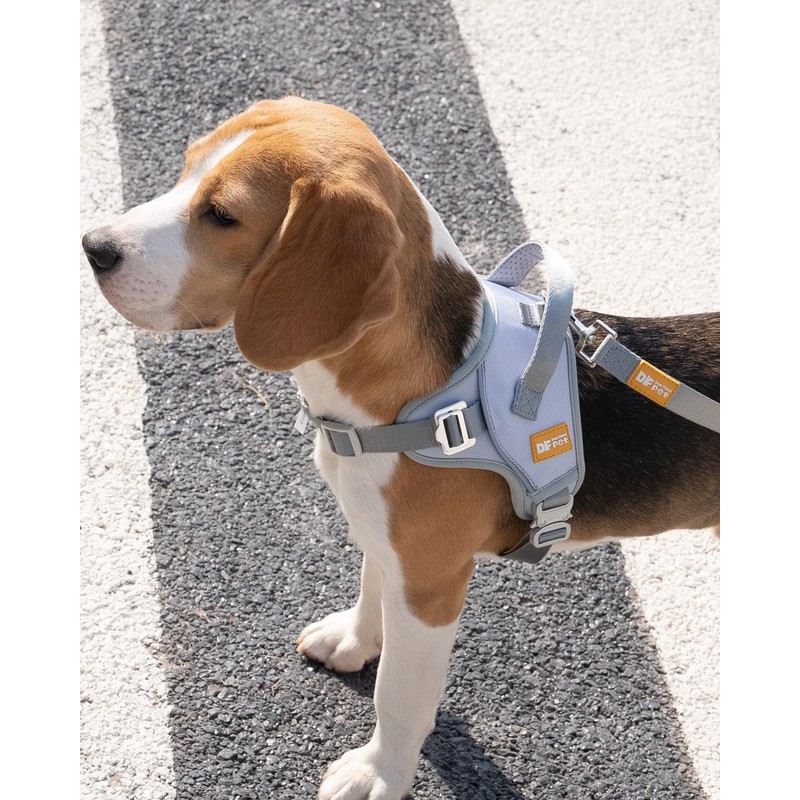DF No Pull Step-in Martingale Dog Harness, Help Stop Pulling