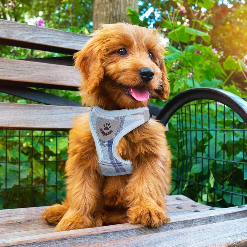 PUPTECK 犬 ハーネス リード セット 犬用 胴輪 ソフト マジックテープ付き 反射素材付き