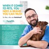 AminAvast Small Dogs & Cat Kidney Support - Promotes Healthy