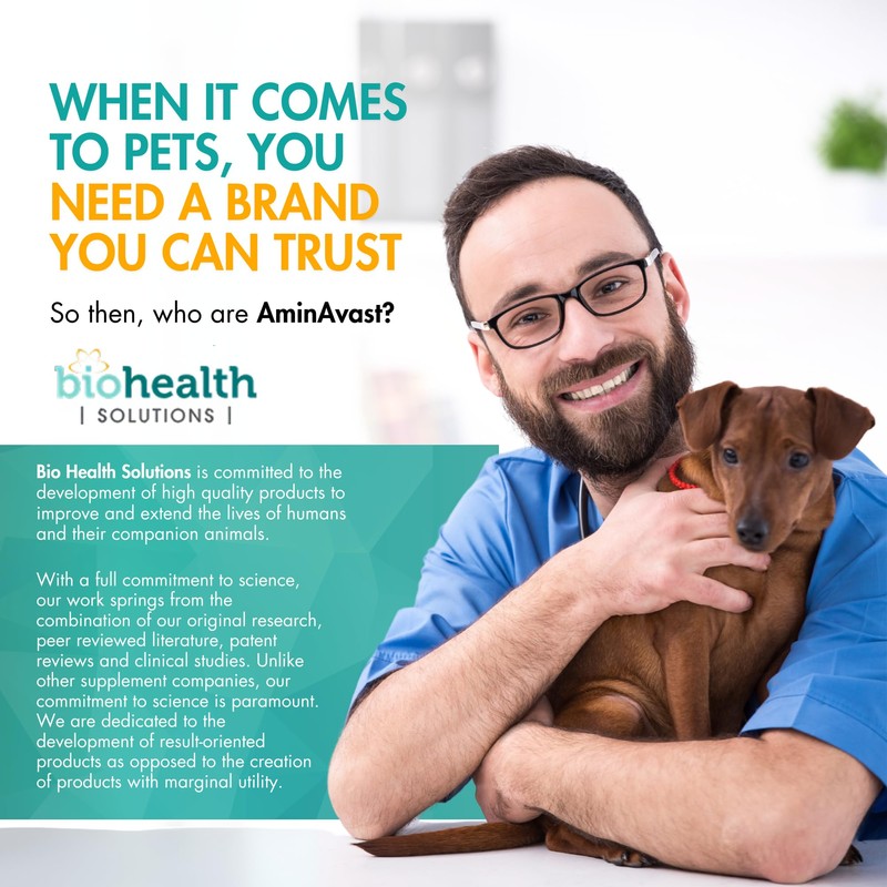 AminAvast Small Dogs & Cat Kidney Support - Promotes Healthy