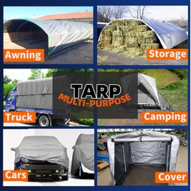 Pro Tarp, 10 Mil Thick, 20X30, Large Multi-Purpose Waterproof Heavy Duty Poly Tarp with Grommets Every 36", 8x8 Weave, for Home, Boats, Cars, Camping, Protective Cover, Silver (20' x 30')