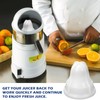 Lemon/Lime Extracting Bulb replacement for Sunkist No. 8 Commercial citrus