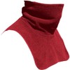 GEARS Polar Neck Dickey: Insulated 4-Way Stretch, Warm Neck &