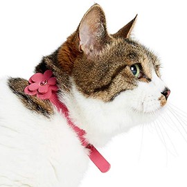 Blueberry Pet PU Leather Adjustable Cat Collar with Bell and Flower, Pink, Collar for Kitten Puppy Small Dogs, Neck 7.8"-10"
