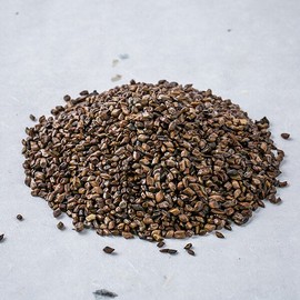 국산 볶은 결명자 300g 식수 볶은결명자차 한방차 국내산 Domestic Roasted Gujigi 300g Herbal Tea Roasted Gujigi Tea Made in Korea