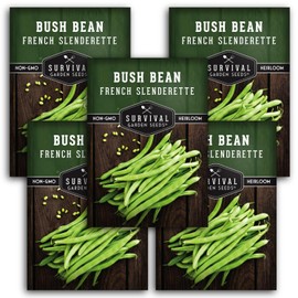 5 Packs French Slenderette Bush Bean Seeds for Planting with Instructions to Grow Haricots Verts in Your Home Vegetable Garden - Non-GMO Heirloom - Survival Garden Seeds