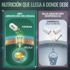 Acido Alfa Lipoico Ala 600mg Curcuma Piperina Fórmula Avanzada Antioxidante