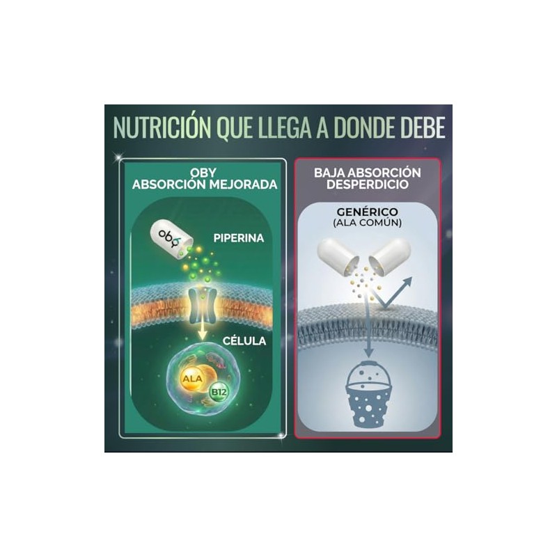 Acido Alfa Lipoico Ala 600mg Curcuma Piperina Fórmula Avanzada Antioxidante