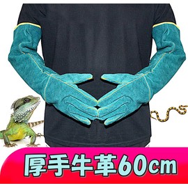 [TradeWind] Pet Gloves, Camping, Barbecue, Gardening, Animals, Reptiles, Biting, Scratching, Heat Resistant, Thick (Blue)