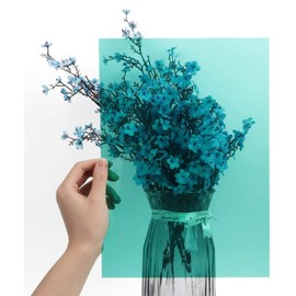 14 Pieces Correction Gel Light Filter,Transparent Color Lighting Film Plastic Sheets,Light Filters Film with 7 Colors for Photography Flash,29.7x21CM