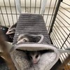 bangminda Small Animal Hammock Hamster Hammock Tunnel Ferret Hammock Warm