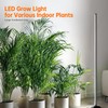 Bstrip Standing Grow Light for Indoor Plants, Vertical Grow Light