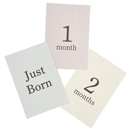 coccoro Monthly Cards, 14 Cards, New Born Photo, Moon Age Photo (Dull Color)