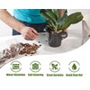 GOTVUGE GOTVUGE Orchid Bark for Plants, Organic Pine Bark for