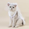 AWOCAN Veil for Dogs Cat Hair Bow Clips Hairpin Headwear
