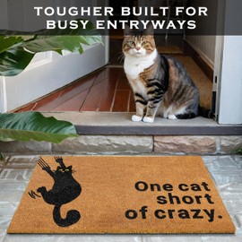 MAINEVENT One Cat Short of Crazy Door Mat 30x17 Inch, Coir Welcome Mat Outdoor Rug, Black Cat Gift Doormat Decor W/Non-Slip PVC Backing