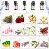 Hanolly Kit De Aceites Esenciales Para Aromaterapia 26 X 6