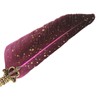 Feather Pen Set with 10 Interchangeable Nib Fire Lacquer Wax