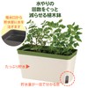 Richell 700962 Mielno Plus Planter 27 Type N Dark Brown