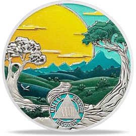 27 Years Sobriety Coin Gift | Forest Tree AA Medallion - HA AA Chip Medallion with Serenity Prayer | Narcotics Alcoholics Anonymous Gifts for Anniversary Month & Year for Men & Women in Recovery