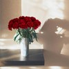 INSUNSIX Red Carnations Artificial Flowers 15PCS Carnations Flowers Artificial Silk