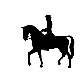 Decal Stickers of Horse Rider Riding Black (Black) (Set of 2) Premium Waterproof Vinyl Decal Stickers for Laptop Phone Accessory Helmet Car Window Mug Tuber Cup Door Wall Decoration - ANDstic786794BL