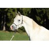 Hunters Saddlery Knotenhalfter für Pferde kompatibel mit Parelli Natural Horsemanship