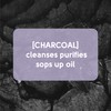 Face Facts Charcoal Nose Pore Strips | Charcoal + Glycerin
