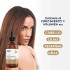 Pack Hebbe Cosmetics Aceite Ricino Almendras Coco Orgánico Puro 300ml