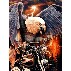 QAZWSX 5D Diamond Painting Kits for Adults Bald Eagle and Motorcycle Full Drill Diamond Art Rhinestone Painting with Diamonds Pictures Arts and Crafts for Home Wall Decor 12x16inch(30x40cm)