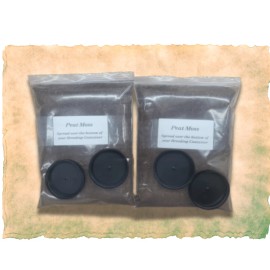 Gt Country Living XL Cricket Colony Kit | Complete Starter Set with Egg Flats, Feed & More!