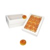 qiqee Auto-pop Up White Cookie Box with Window 14x10x2.5 inch