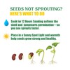 Indoor Herb Garden Kit, 9 Non-GMO Seeds with Reusable Pots,