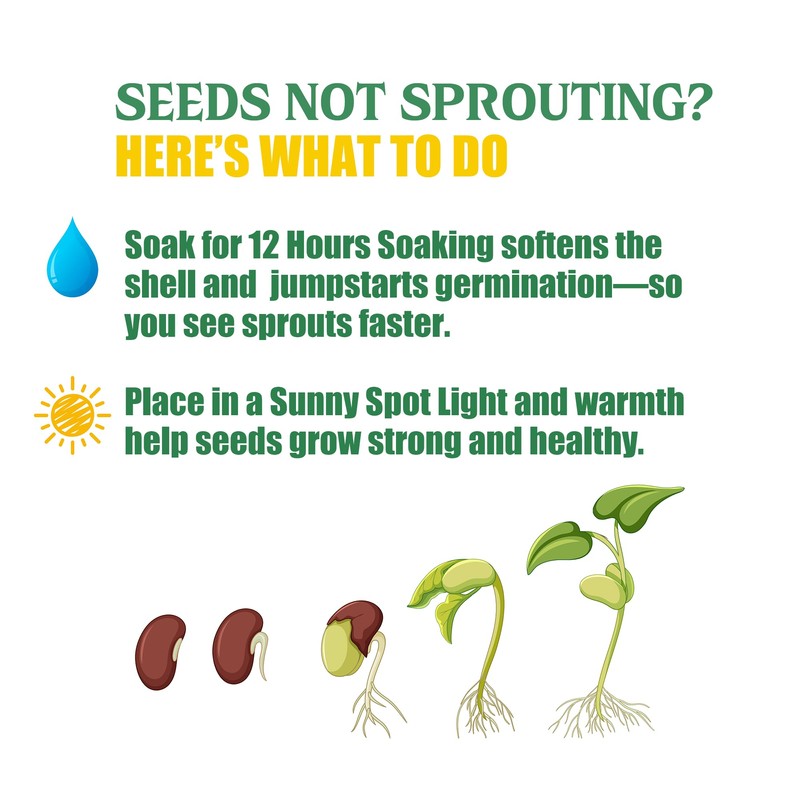 Indoor Herb Garden Kit, 9 Non-GMO Seeds with Reusable Pots,