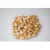 Amish Country Popcorn | 1 Lb Mushroom Kernels | Old