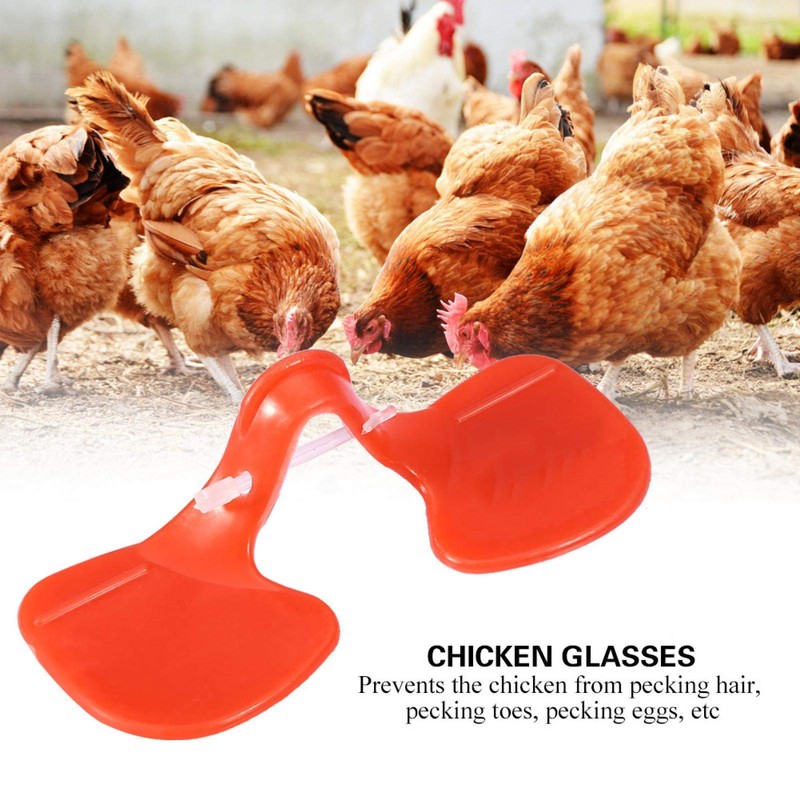 EVTSCAN 100pcs Chicken Eyes Peeper Glasses Spectacles Protector Hen Pecking
