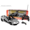 RC Sports Car 1:14 Scale Realistic Design, Slide-Up/Sciss